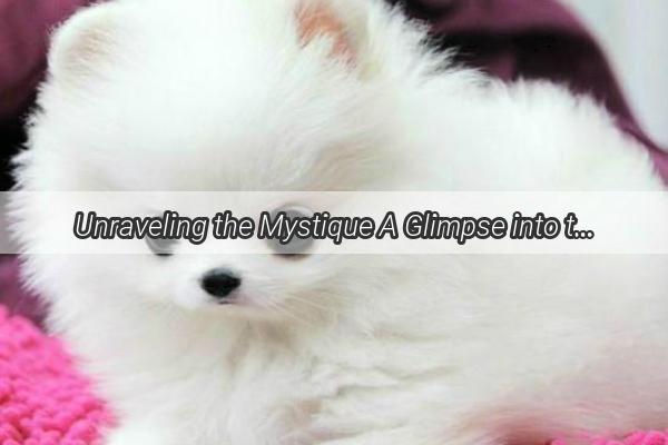 Unraveling the Mystique A Glimpse into the World of Doggy Furs